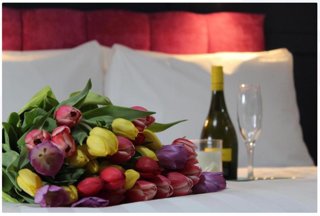 The Dutch Tulip Hotel Mallow Extérieur photo