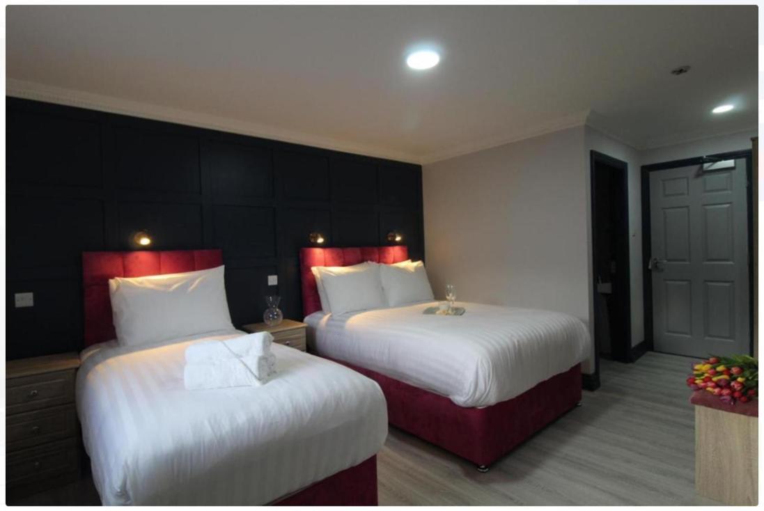 The Dutch Tulip Hotel Mallow Extérieur photo